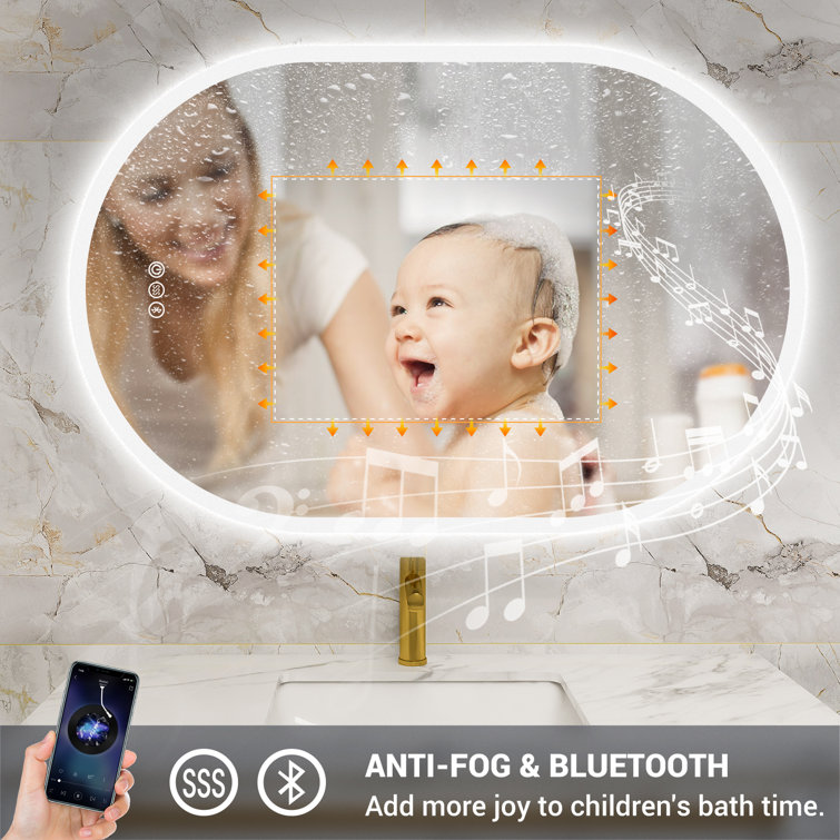 Brayden Studio Ahmiyah Oval LED Bathroom Mirror Anti Fog
